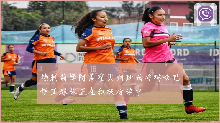 热刺前锋阿莱霍贝利斯或将转会巴伊亚球队正在积极洽谈中