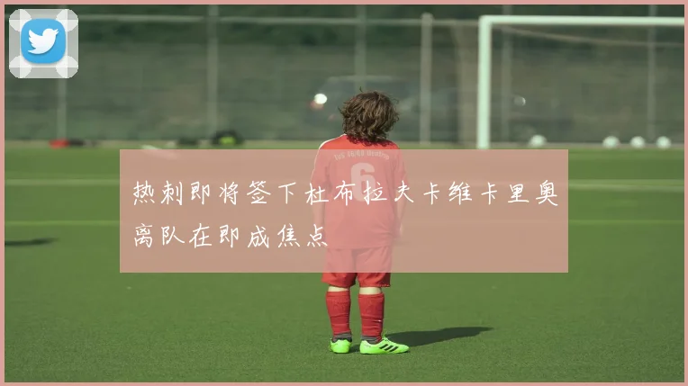 热刺即将签下杜布拉夫卡维卡里奥离队在即成焦点